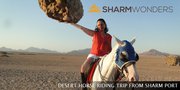 One day tour of Cairo | Sharm excursions to Cairo