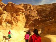 Day tours to Cairo from Sharm el Sheikh |one day tour of Cairo