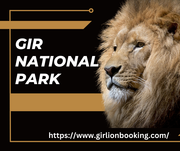 GIR LION BOOKINGS 